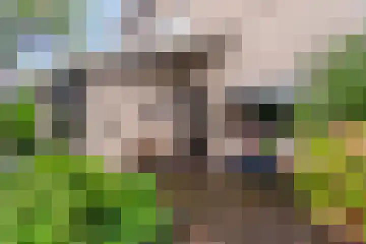 Toevluchtstraat 37 Badhoevedorp thumbnail 34