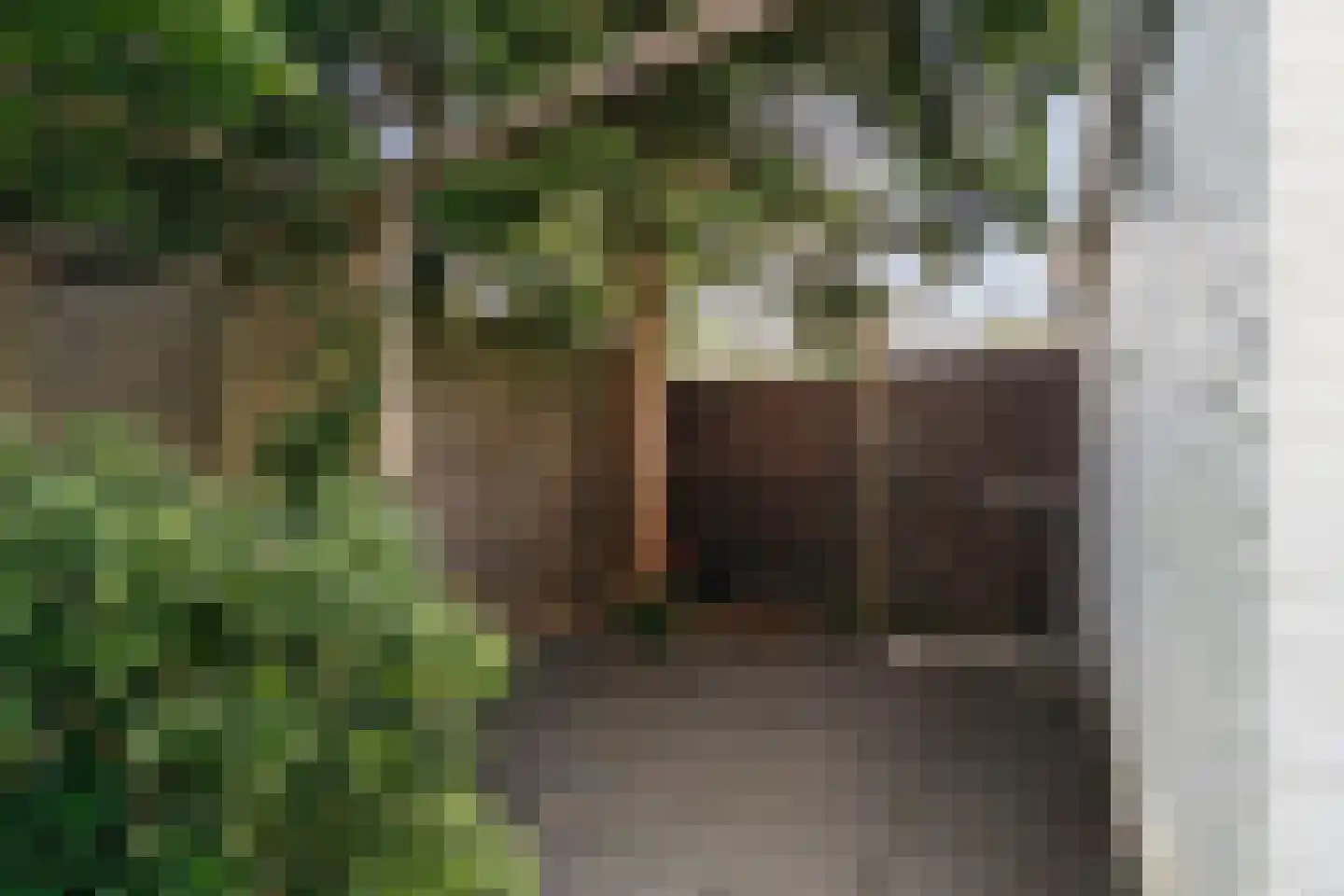 Toevluchtstraat 6 Badhoevedorp thumbnail 48