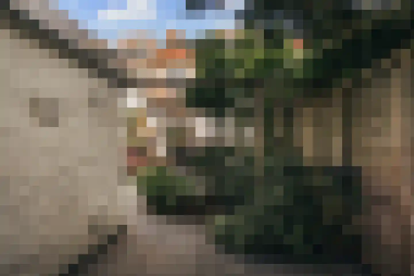 Toevluchtstraat 6 Badhoevedorp thumbnail 49