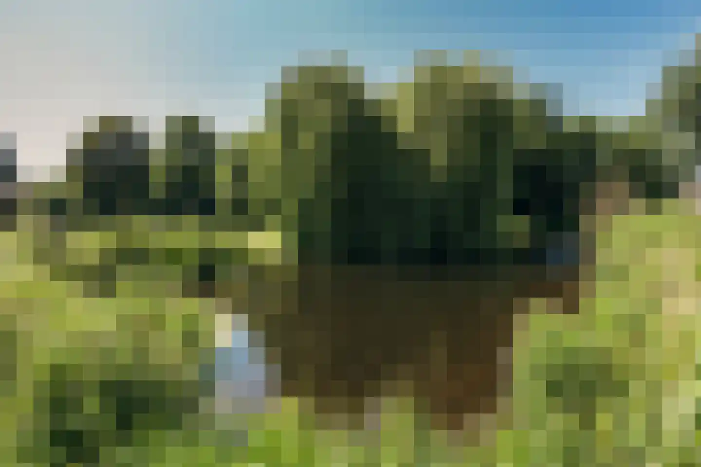 Toevluchtstraat 6 Badhoevedorp thumbnail 59