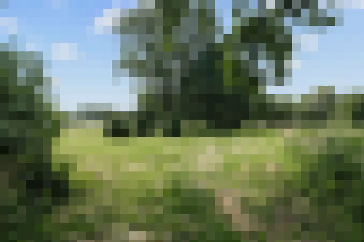 Toevluchtstraat 6 Badhoevedorp thumbnail 62