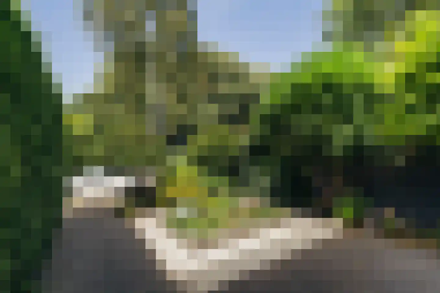 Toevluchtstraat 6 Badhoevedorp thumbnail 9