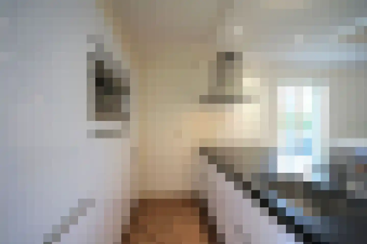 Tofana 5 Amsterdam thumbnail 21
