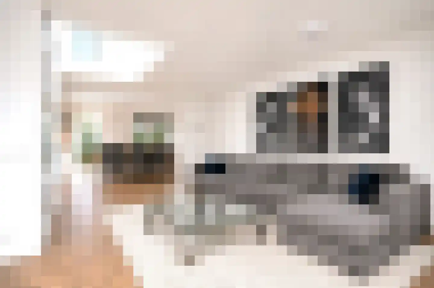 Tofana 5 Amsterdam thumbnail 5