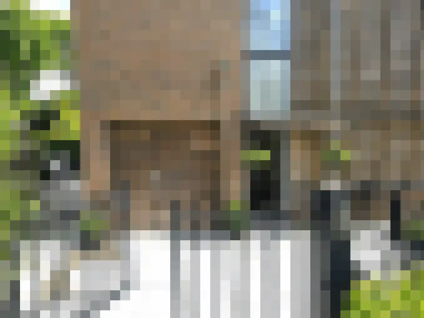Tofana 5 Amsterdam thumbnail 52
