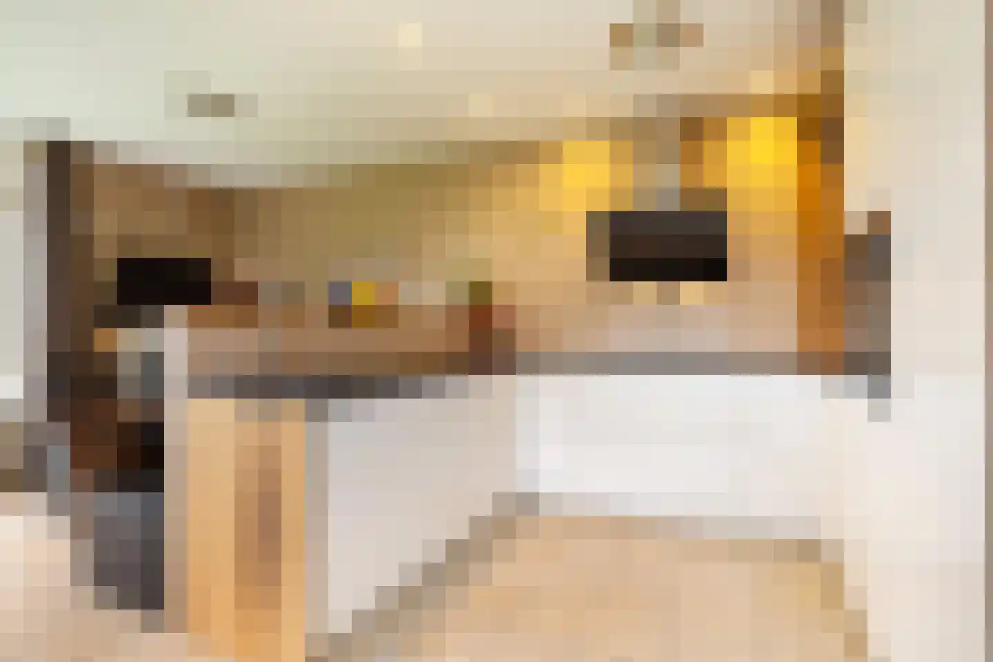 Togenaarstraat 25 's-Hertogenbosch thumbnail 18