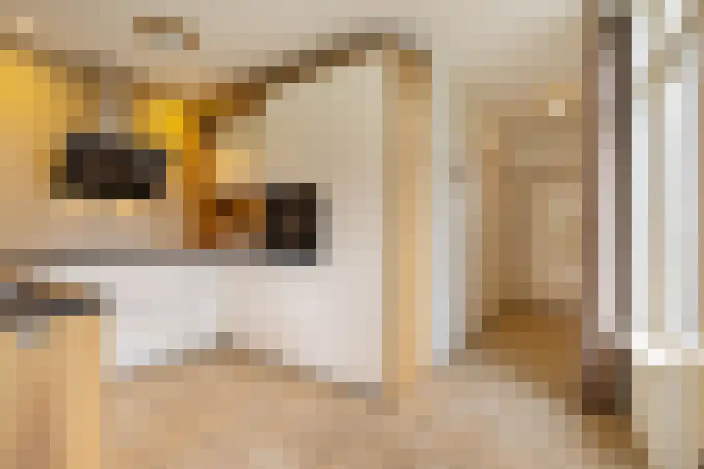 Togenaarstraat 25 's-Hertogenbosch thumbnail 19