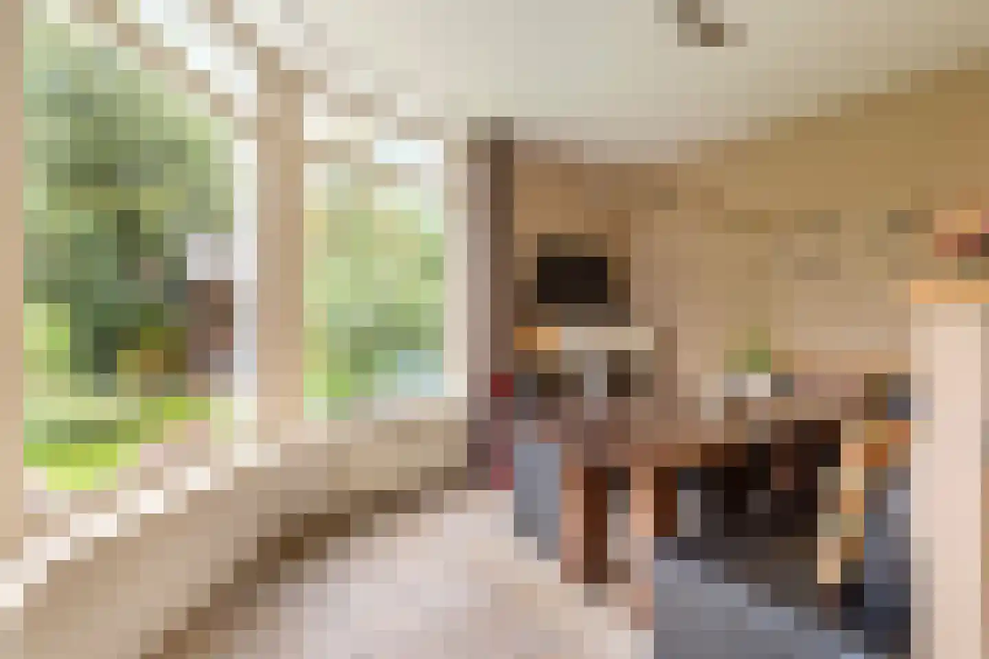Togenaarstraat 25 's-Hertogenbosch thumbnail 23