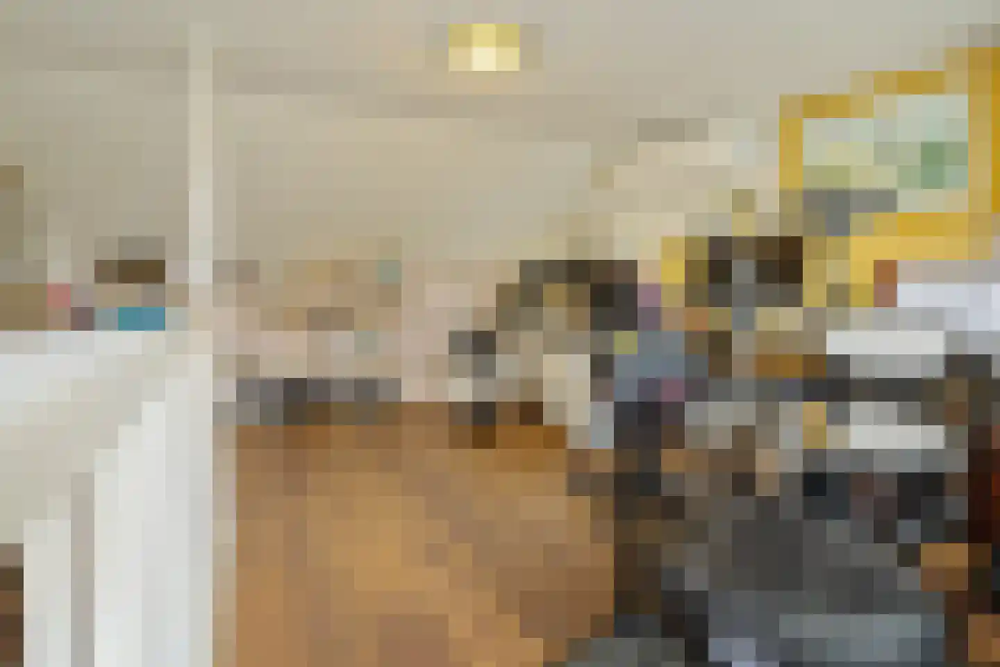 Togenaarstraat 25 's-Hertogenbosch thumbnail 29