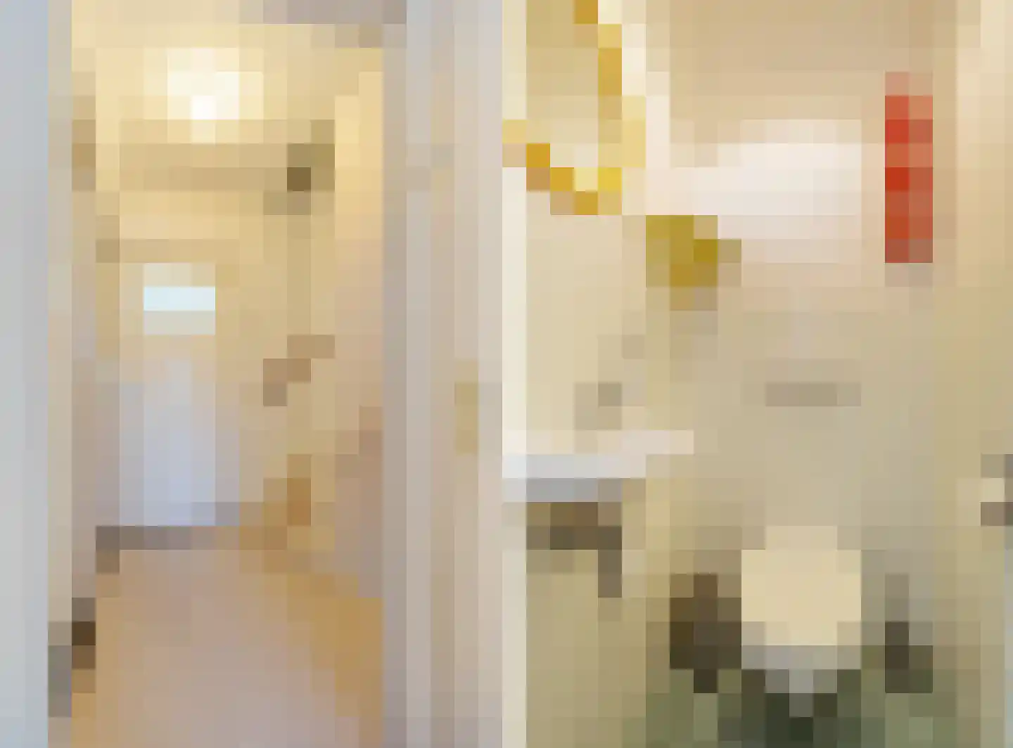 Togenaarstraat 25 's-Hertogenbosch thumbnail 30