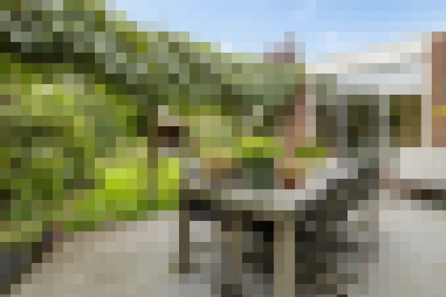 Togenaarstraat 25 's-Hertogenbosch thumbnail 43