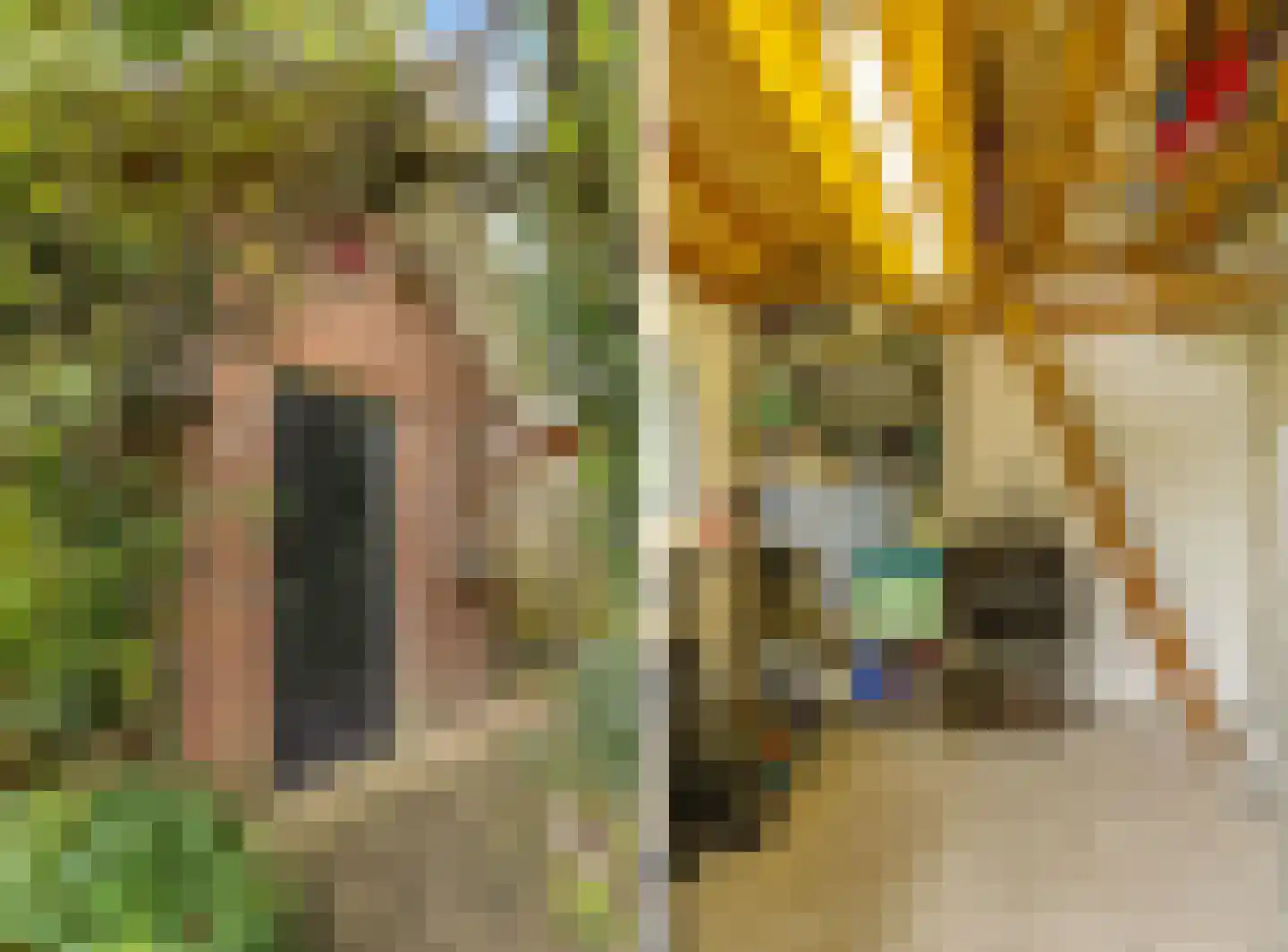 Togenaarstraat 25 's-Hertogenbosch thumbnail 52