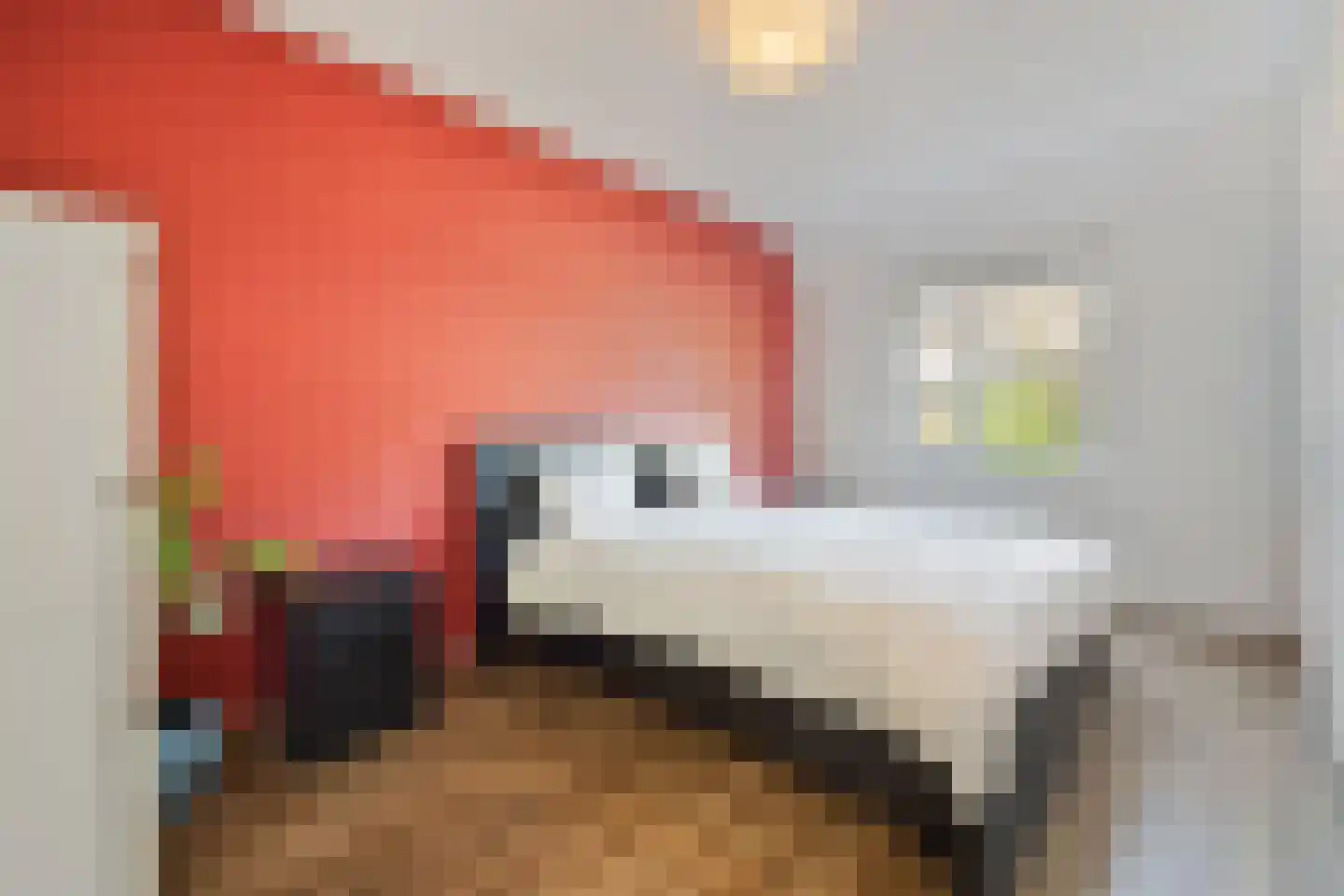 Togostraat 39 Delft thumbnail 22