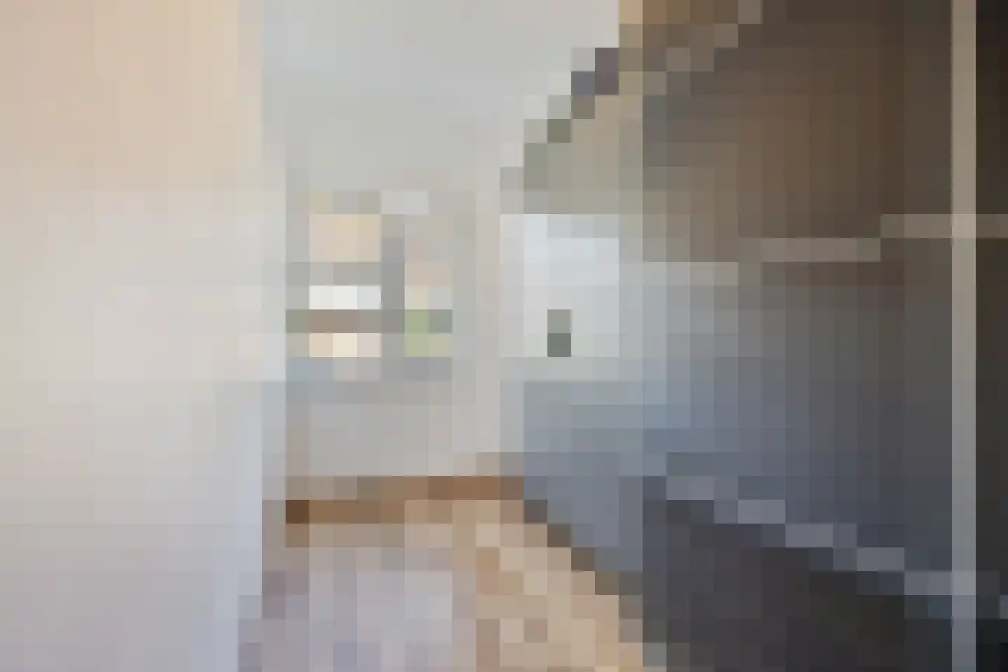 Togostraat 39 Delft thumbnail 26
