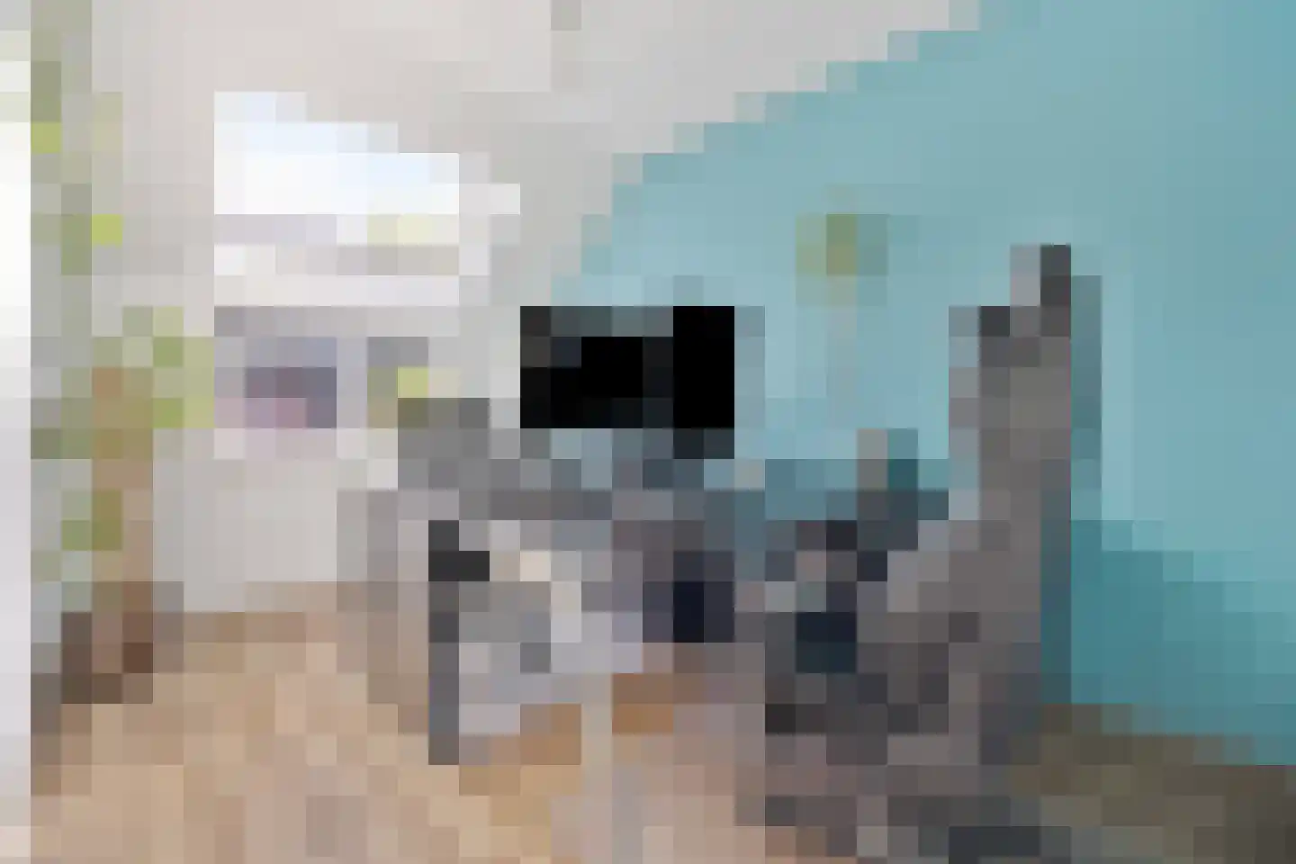 Togostraat 39 Delft thumbnail 28