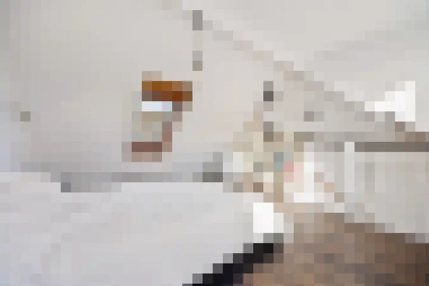 Togostraat 39 Delft thumbnail 32
