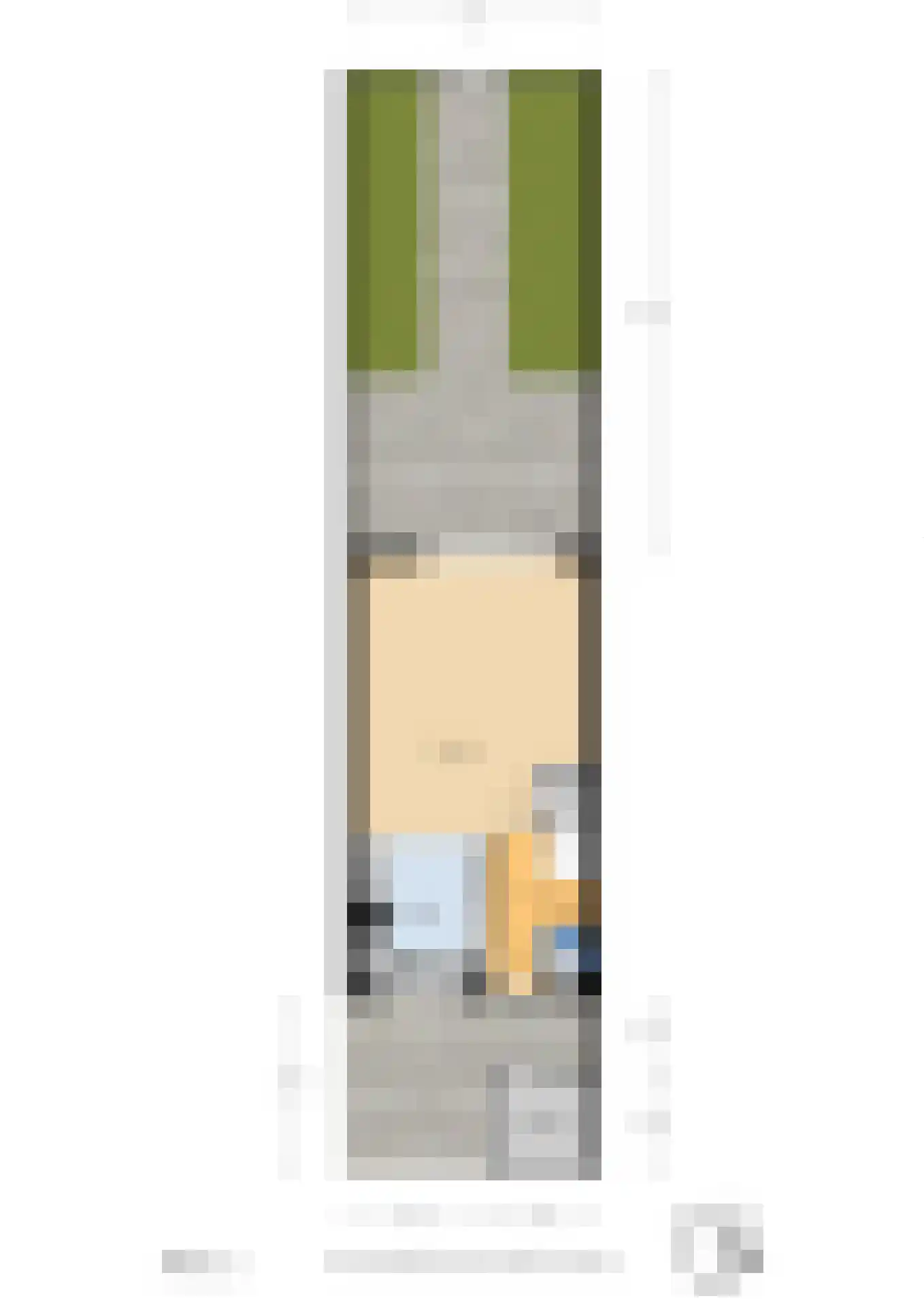 Togostraat 39 Delft thumbnail 33
