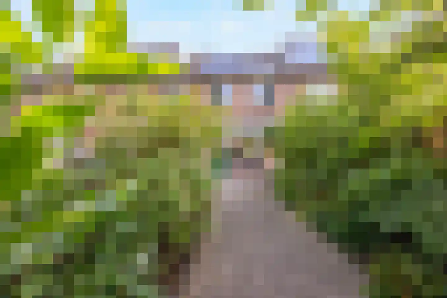 Togostraat 39 Delft thumbnail 5