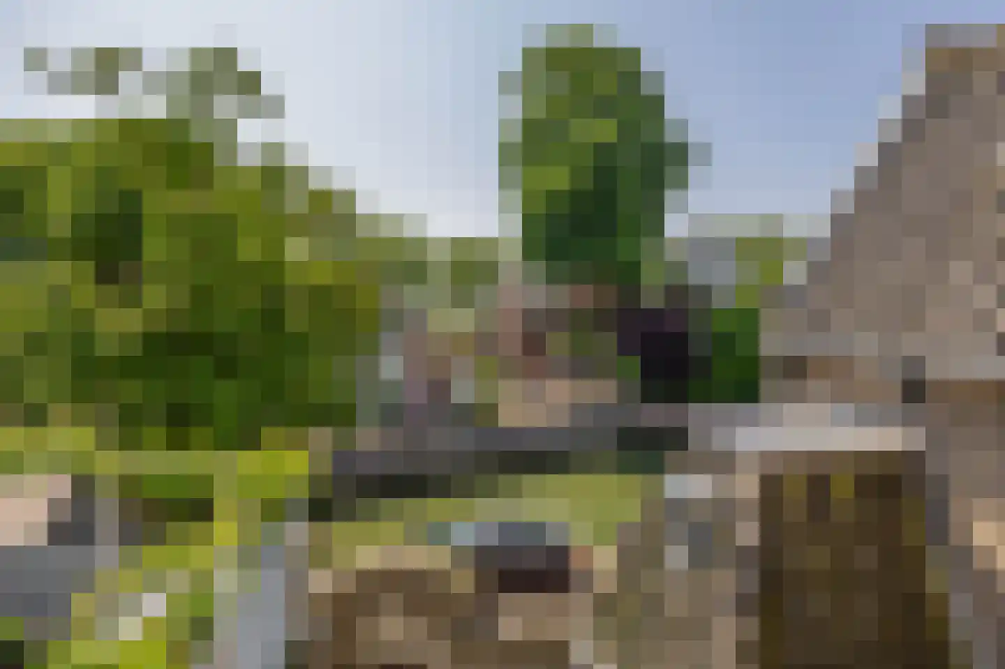 Tol 9 a Schoonhoven thumbnail 33