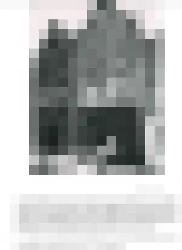 Tol 9 a Schoonhoven thumbnail 41