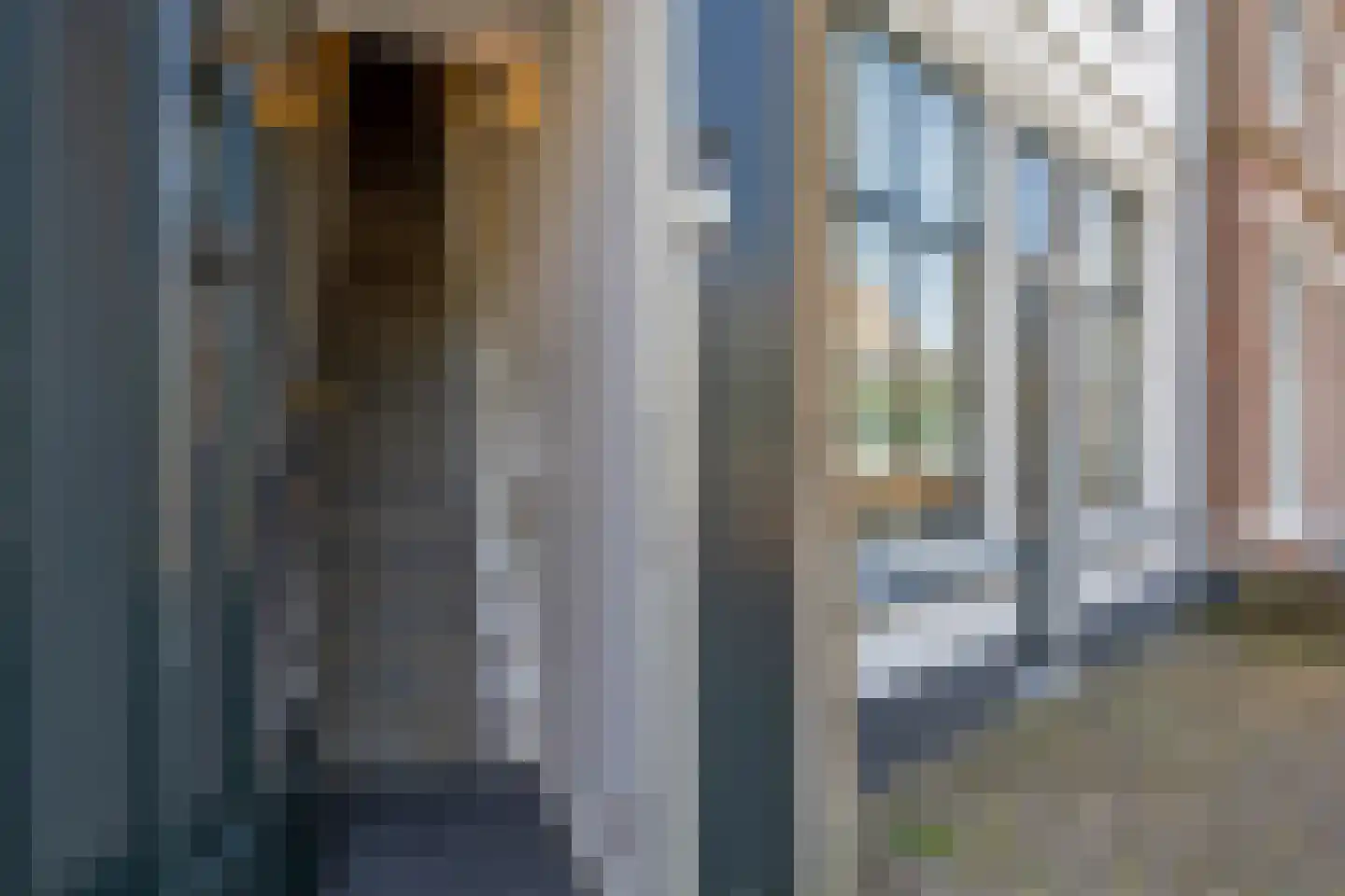 Tol 9 a Schoonhoven thumbnail 43