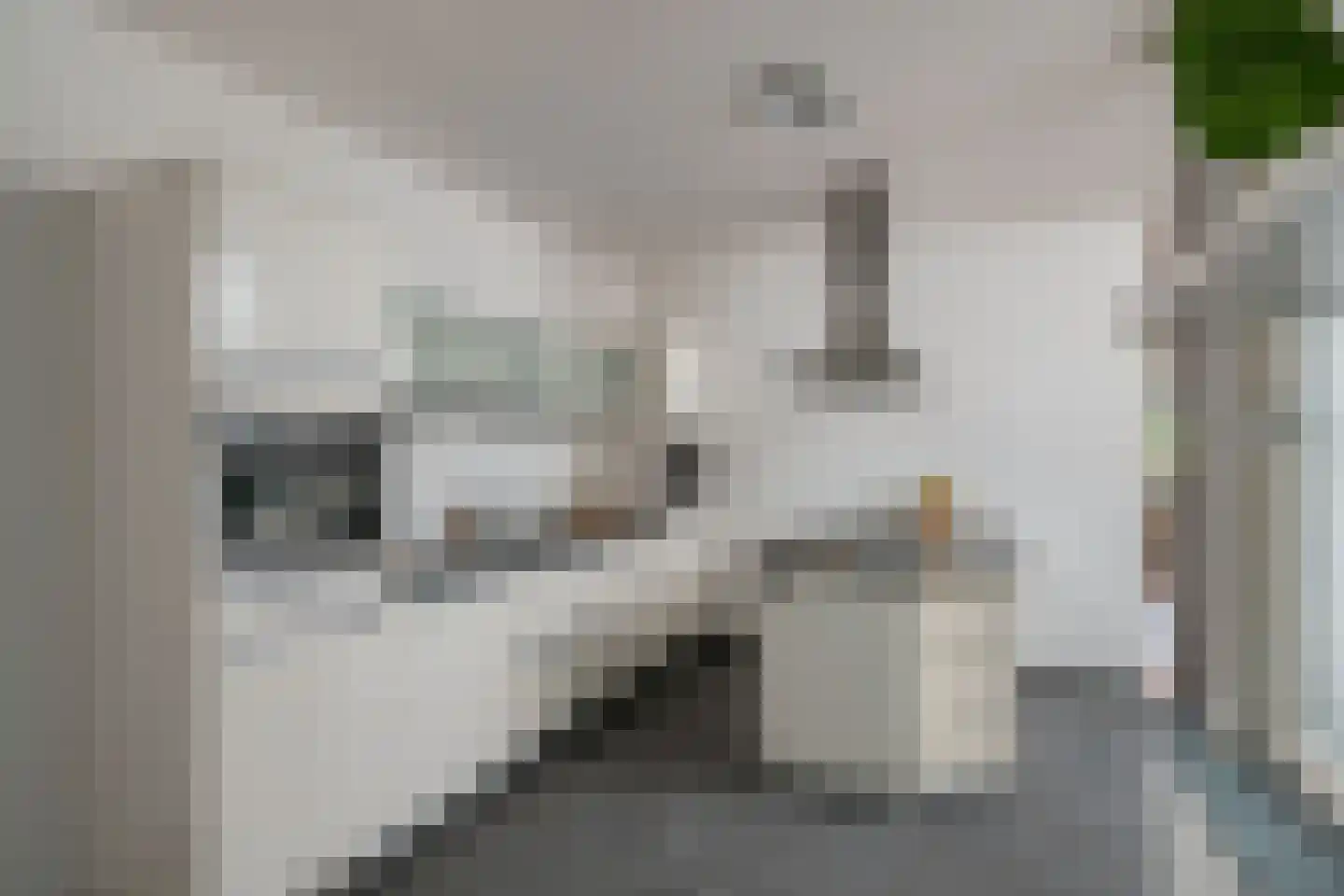 Tolakker 14 Bavel thumbnail 12