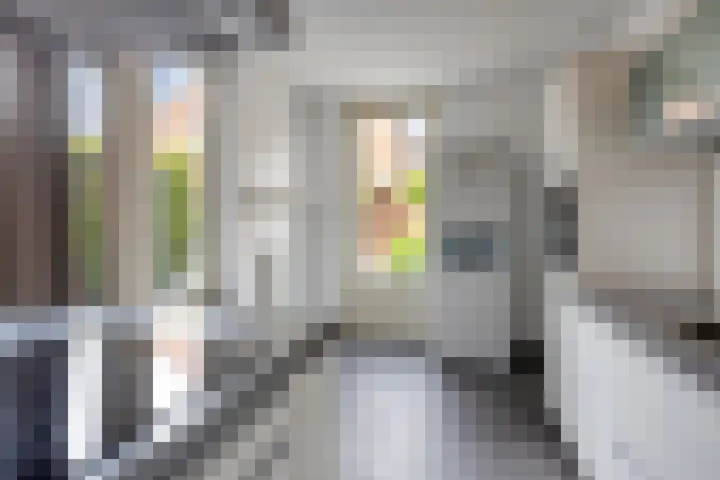 Tolakker 14 Bavel thumbnail 15
