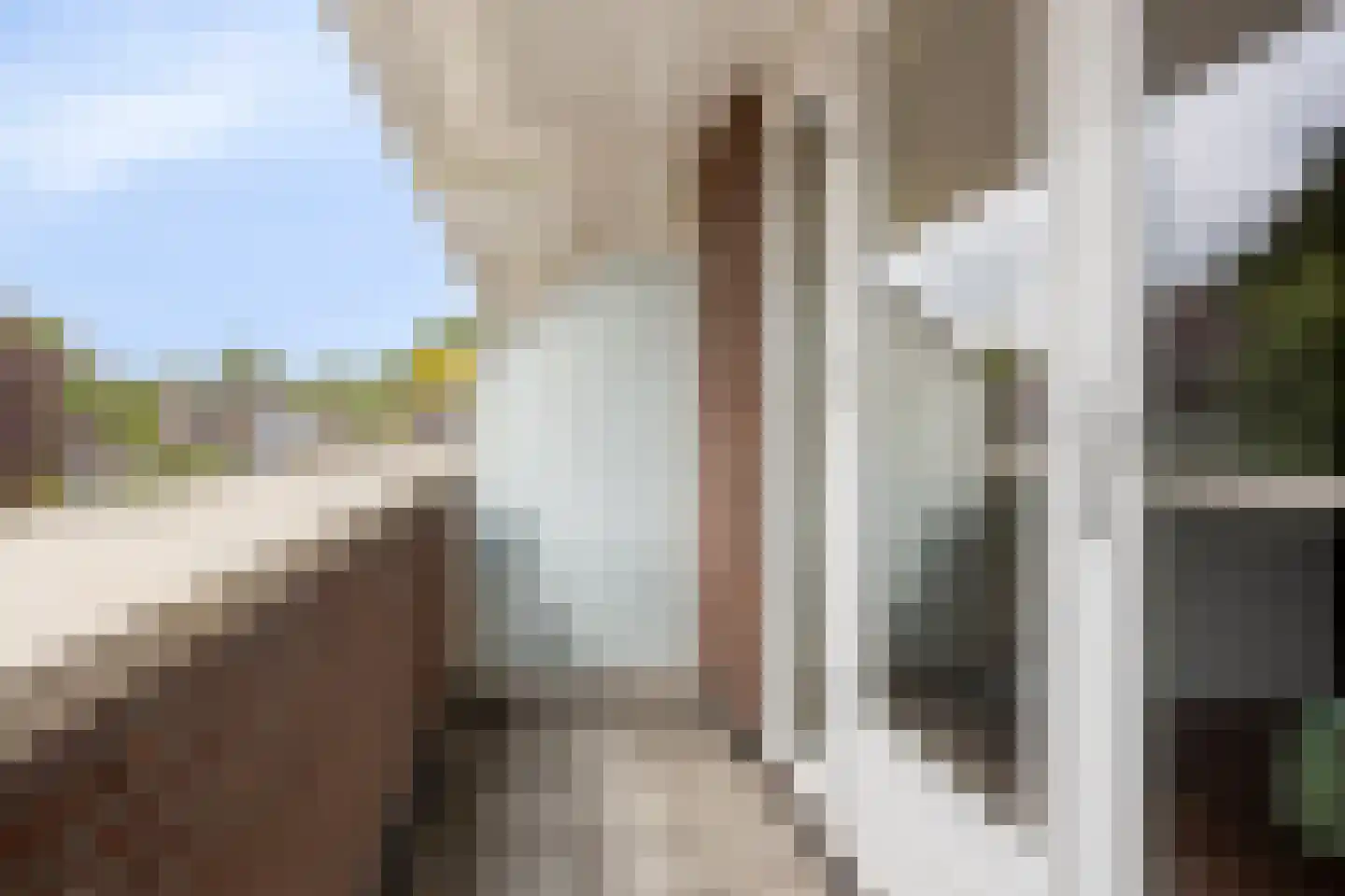 Tolakker 14 Bavel thumbnail 20