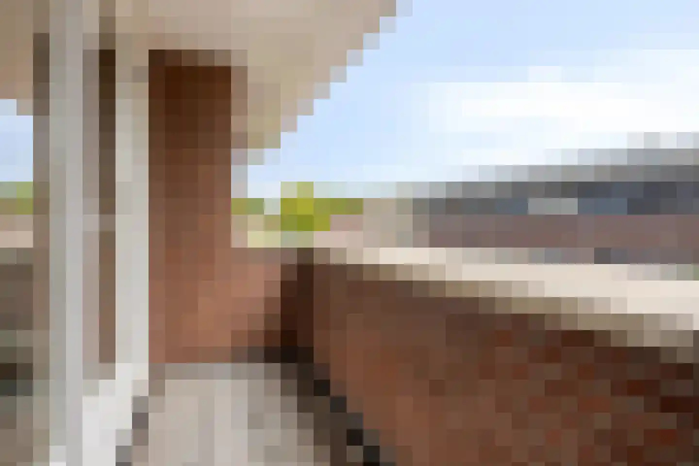 Tolakker 14 Bavel thumbnail 21