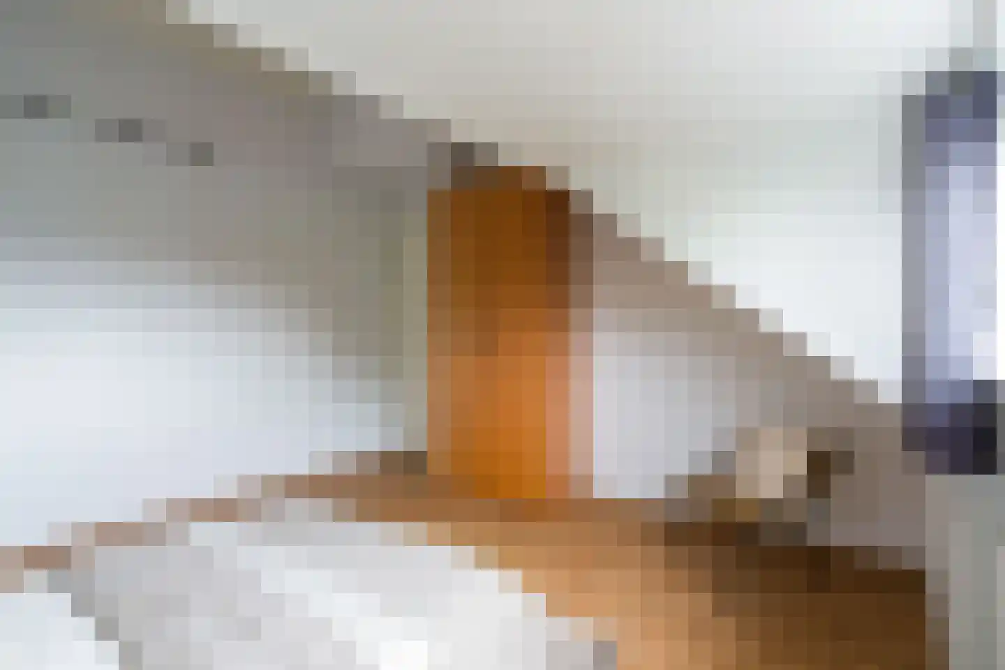 Tolakker 14 Bavel thumbnail 32