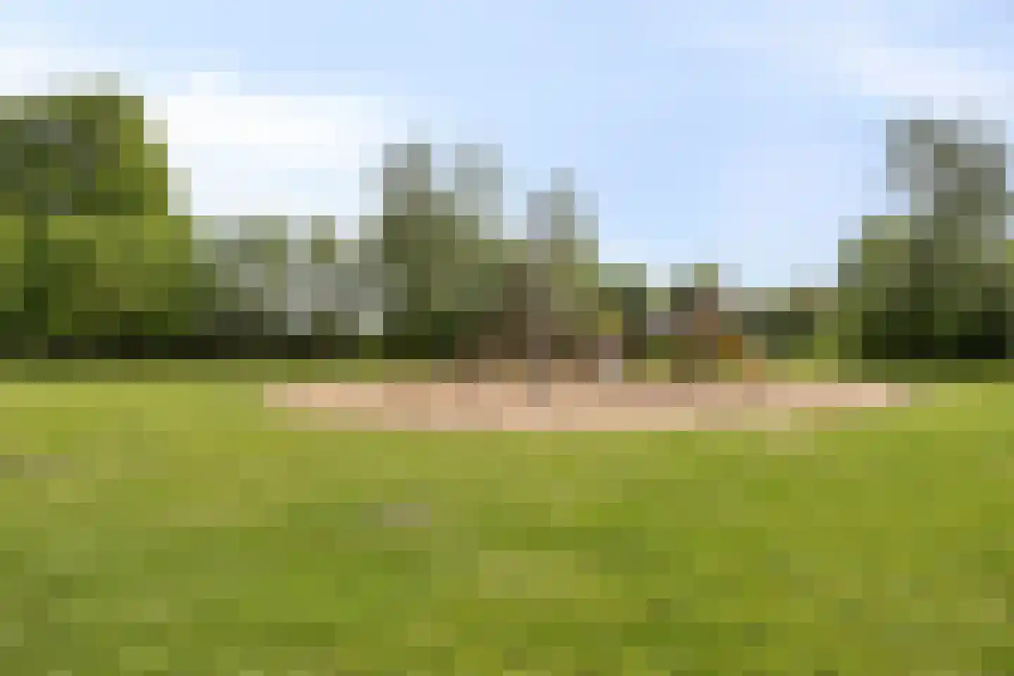 Tolakker 14 Bavel thumbnail 43
