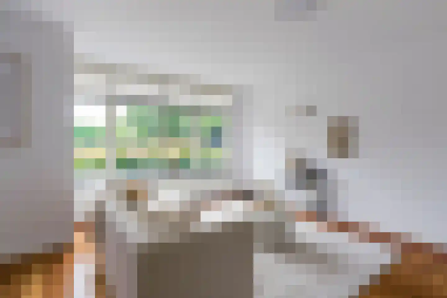 Tolakker 14 Bavel thumbnail 6