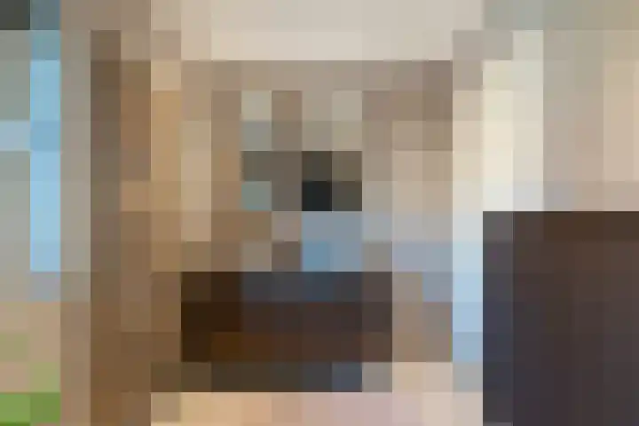 Tolakker 4 Bavel thumbnail 18