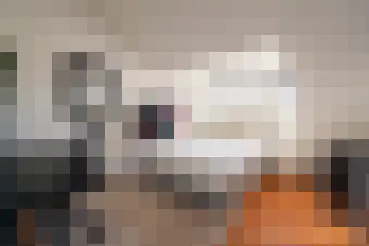 Tolakker 4 Bavel thumbnail 24