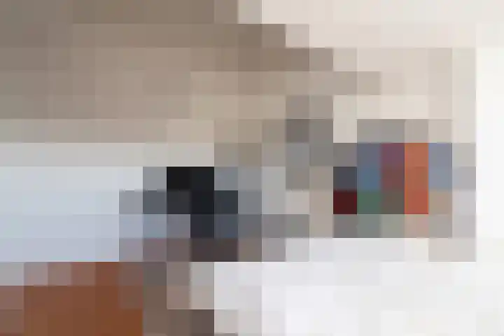 Tolakker 4 Bavel thumbnail 25