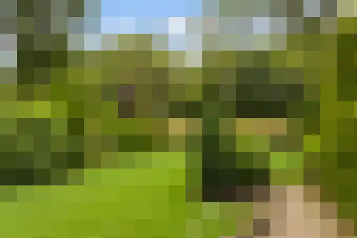 Tolakkerweg 105 Hollandsche Rading thumbnail 23