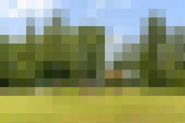 Tolakkerweg 105 Hollandsche Rading thumbnail 45