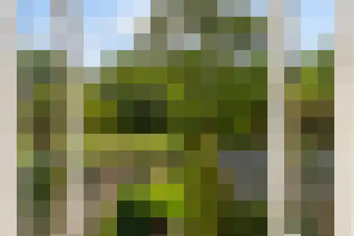 Tolakkerweg 105 Hollandsche Rading thumbnail 5