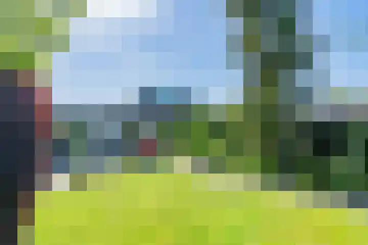 Tolakkerweg 146 Hollandsche Rading thumbnail 7
