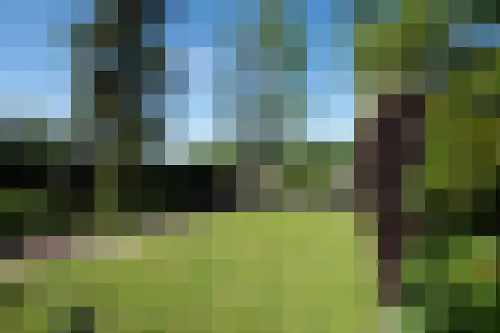 Tolakkerweg 146 Hollandsche Rading thumbnail 8