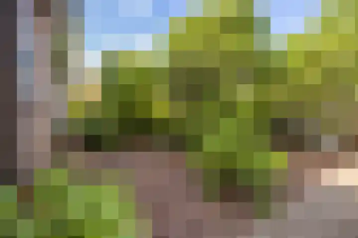 Tolakkerweg 197 Maartensdijk thumbnail 5