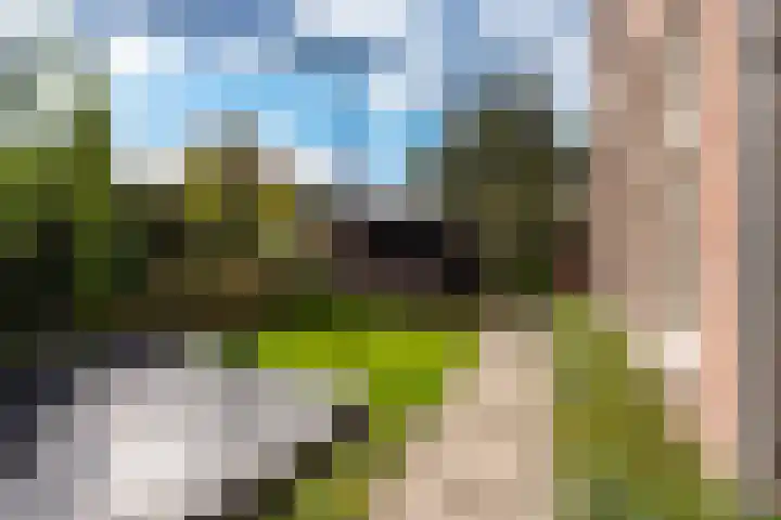 Tolakkerweg 2 Hollandsche Rading thumbnail 32