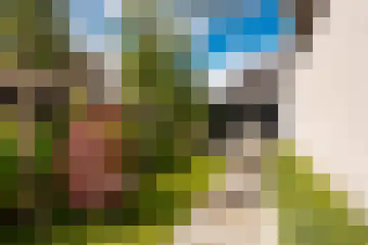 Tolakkerweg 2 Hollandsche Rading thumbnail 33