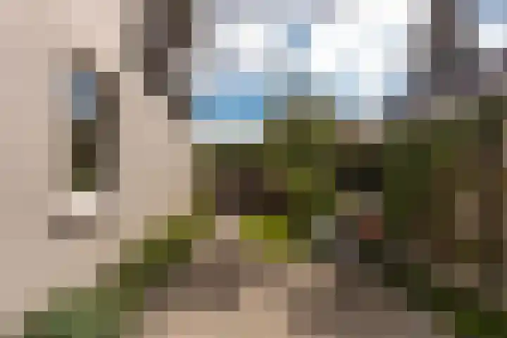 Tolakkerweg 2 Hollandsche Rading thumbnail 34