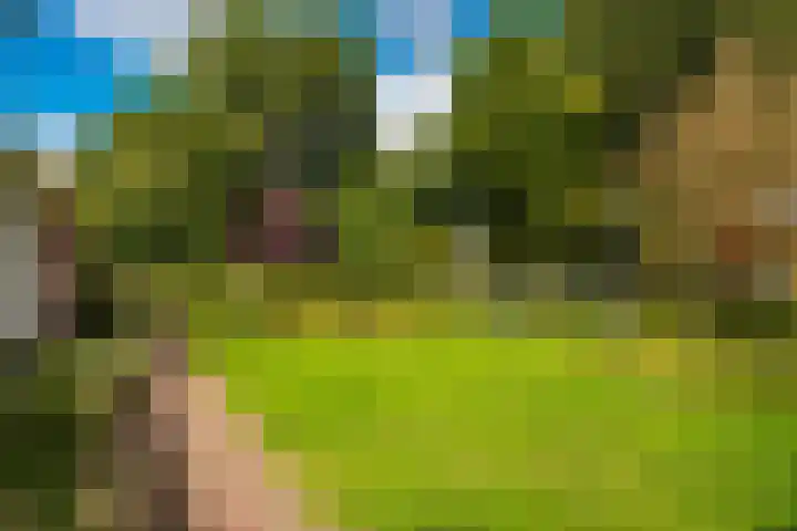 Tolakkerweg 2 Hollandsche Rading thumbnail 35