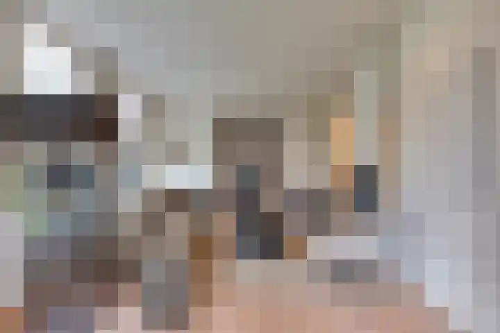 Tolakkerweg 2 Hollandsche Rading thumbnail 7