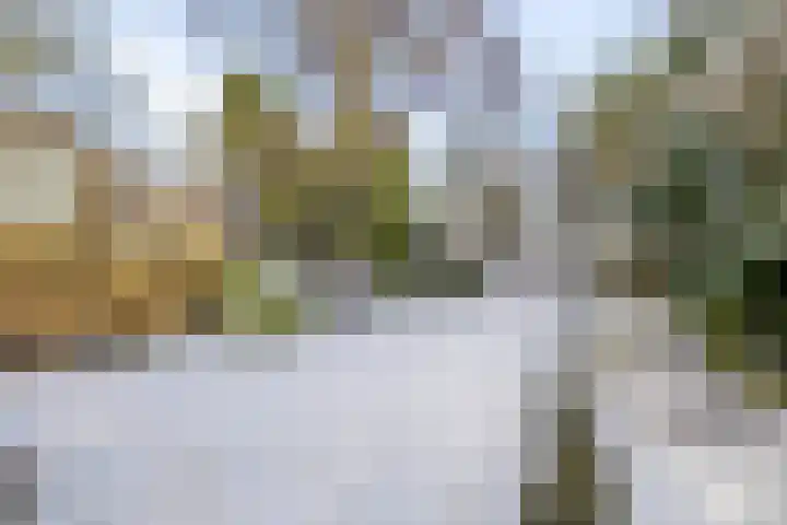 Tolakkerweg 25 Hollandsche Rading thumbnail 29