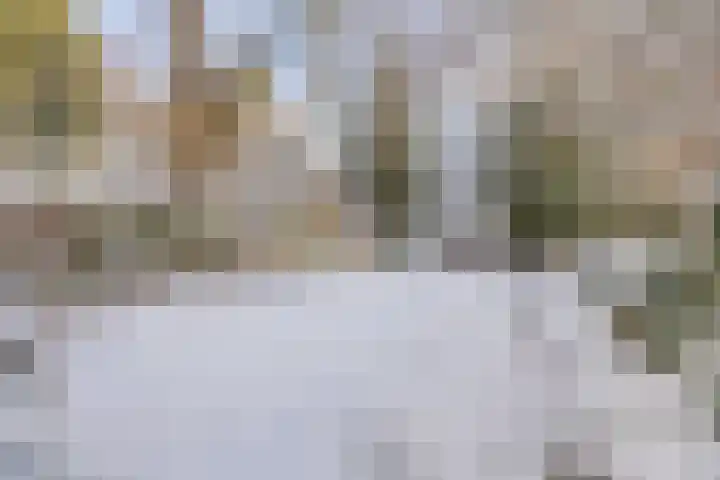 Tolakkerweg 25 Hollandsche Rading thumbnail 30