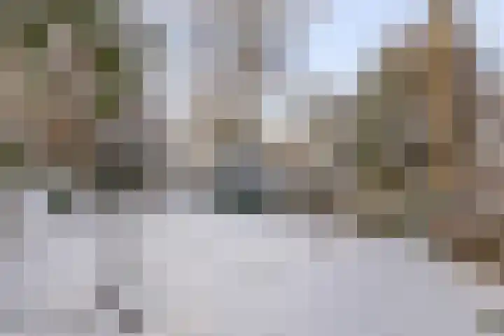 Tolakkerweg 25 Hollandsche Rading thumbnail 31