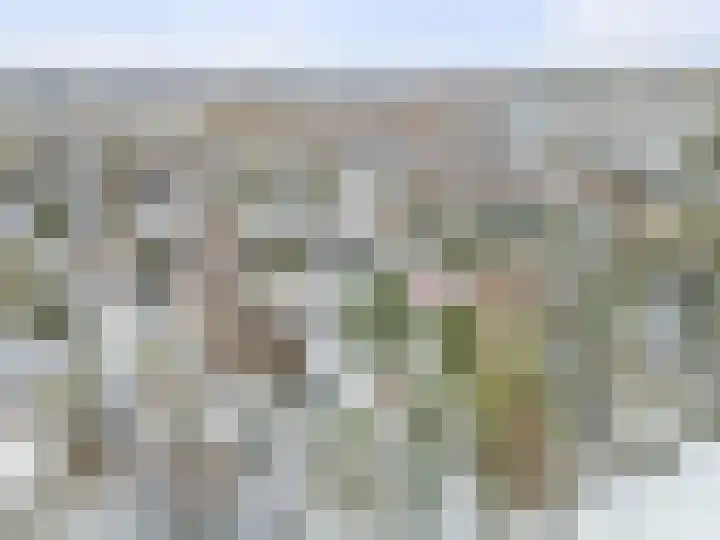 Tolakkerweg 25 Hollandsche Rading thumbnail 34